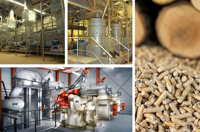 Business Area - Biomass Pallet Production